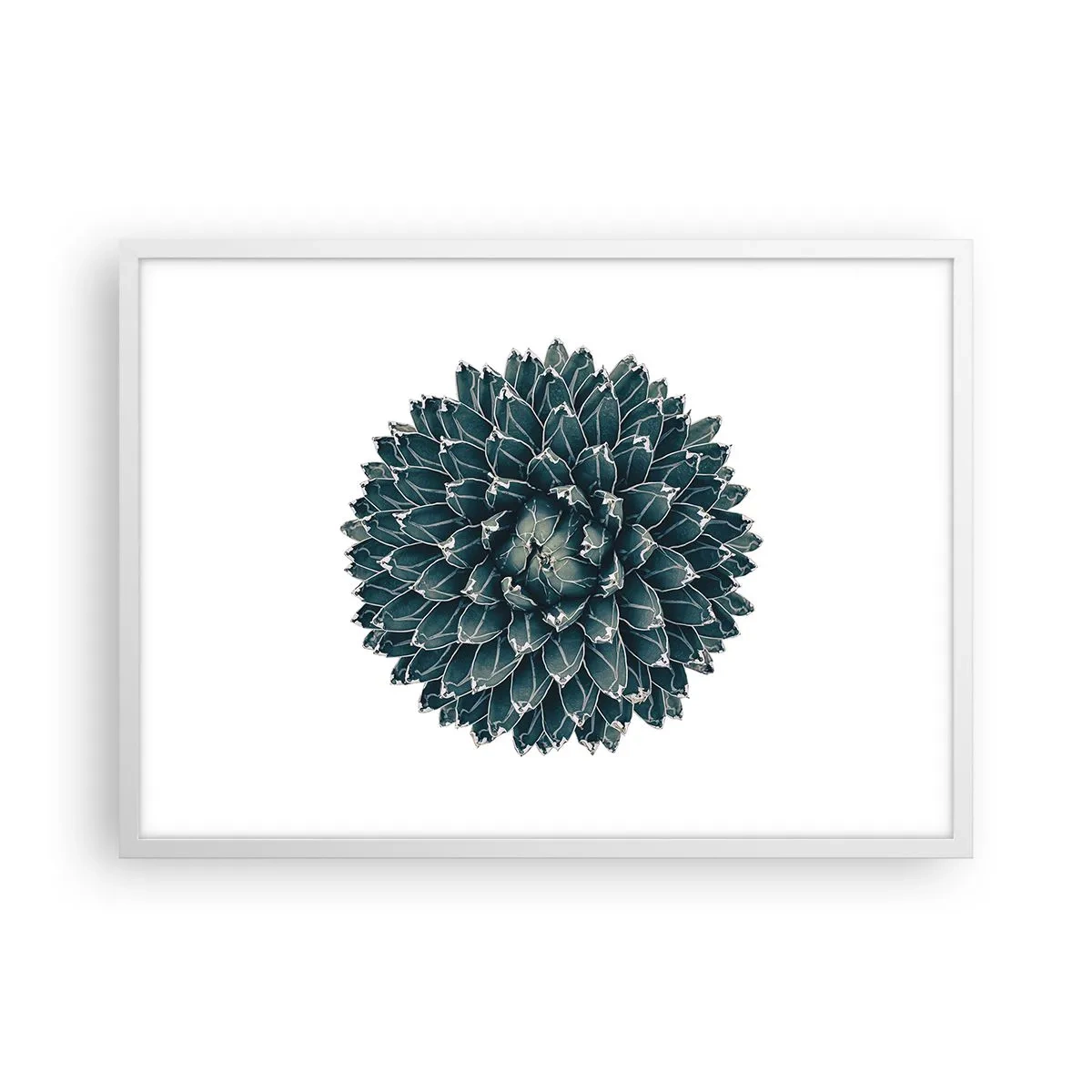 Pôster em moldura branca - Estrela do Deserto - 70x50 cm