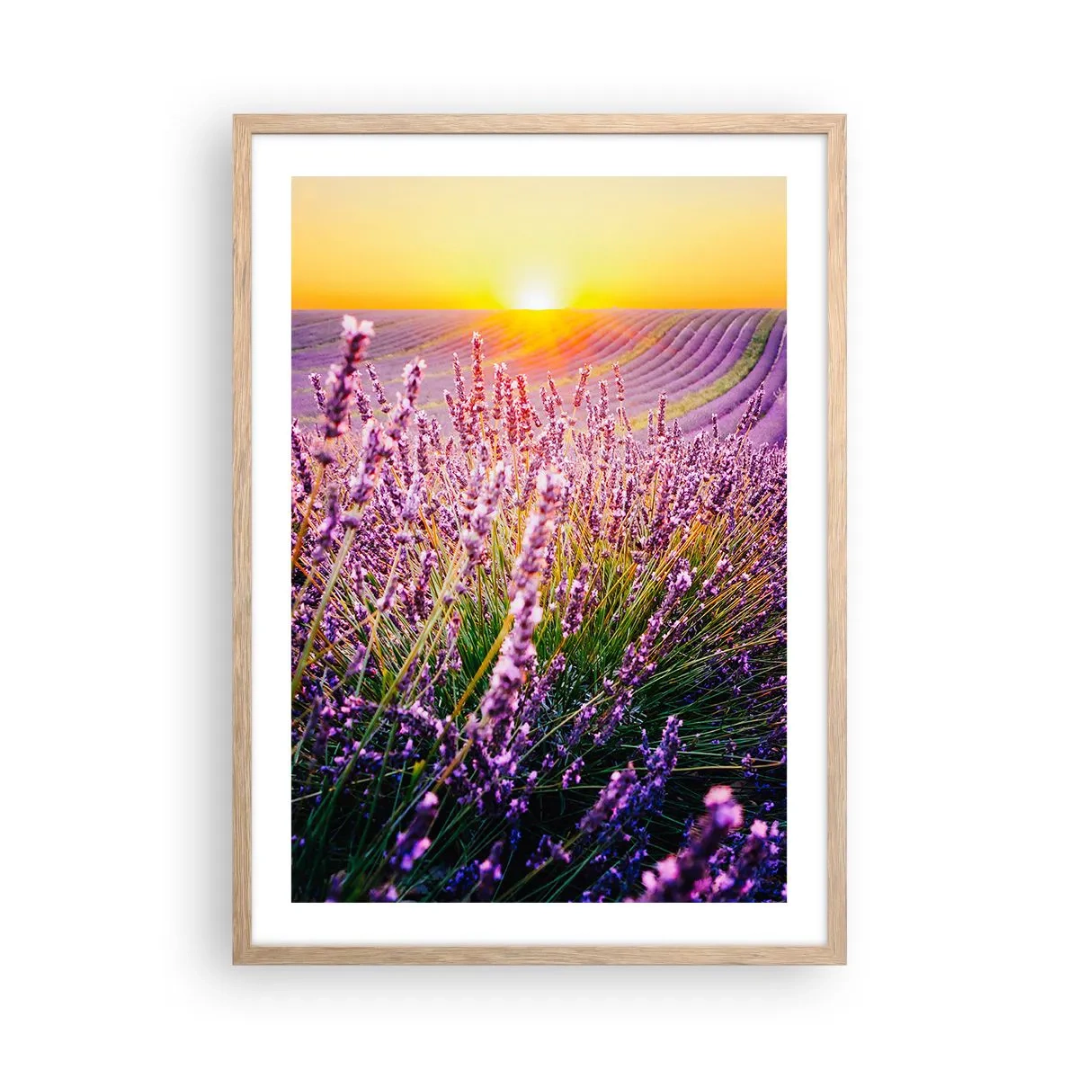 Pôster com moldura de carvalho claro - Prado perfumado - 50x70 cm