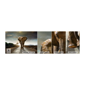 Amostra de papel de parede autocolante Deluxe Sticker - Não faz parte da composição da porcela - Elefante, Paisagem, Natureza - 100x30 cm