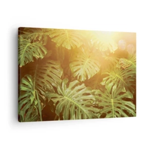 Quadro em tela - Folhas de Monstera ao sol em um fundo natural - 70x50cm - Um mergulho na vegetação - Decoração de parede moderna para a sala de estar e quarto ARTTOR
