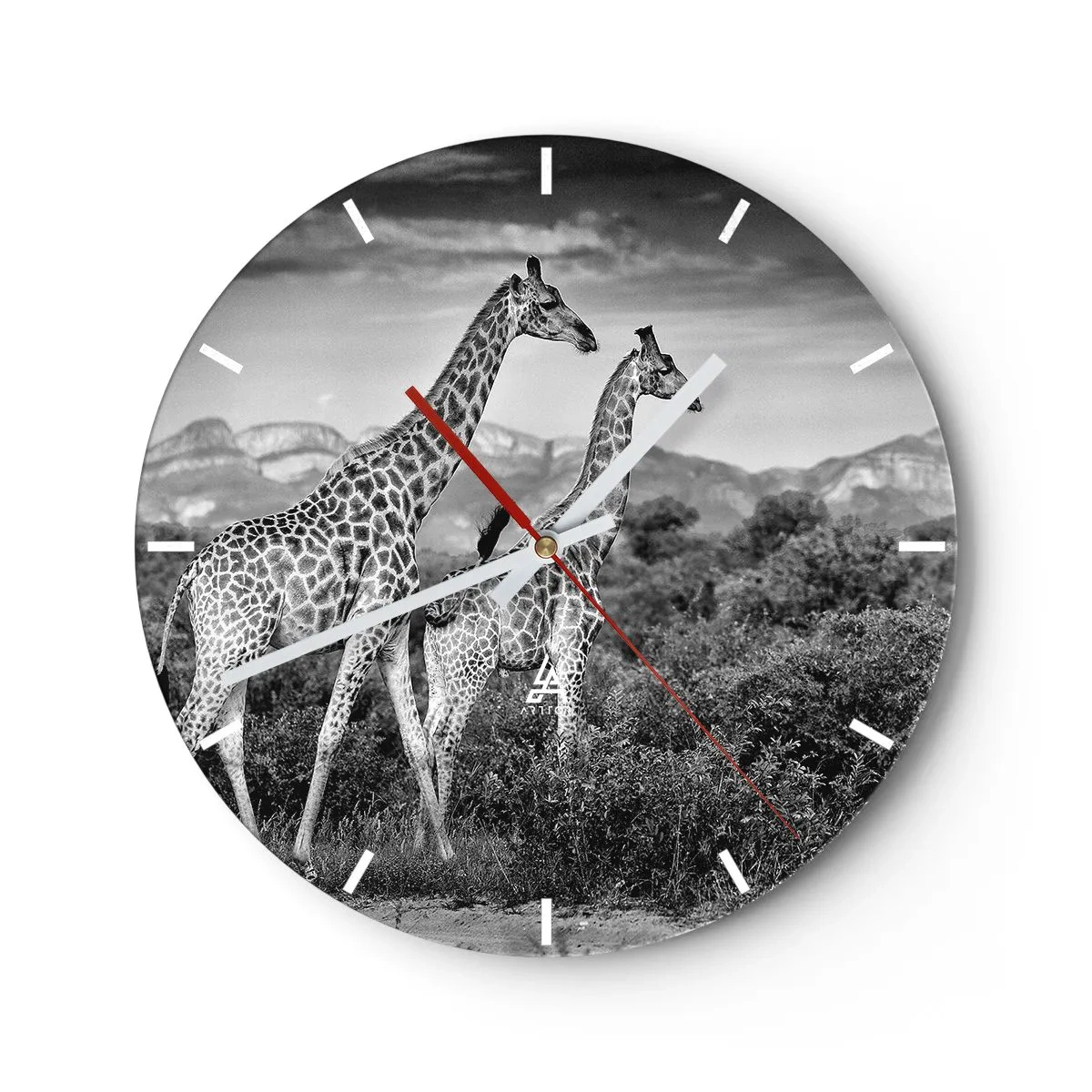 Relógio de parede - Relógio em vidro - Uma fotografia em preto e branco de duas girafas na savana. - 30x30cm - Alta Sociedade na África - Decoração de parede moderna para a sala de estar, cozinha e quarto ARTTOR