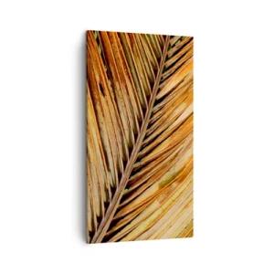 Quadro em tela - Ouro de coco - 45x80 cm