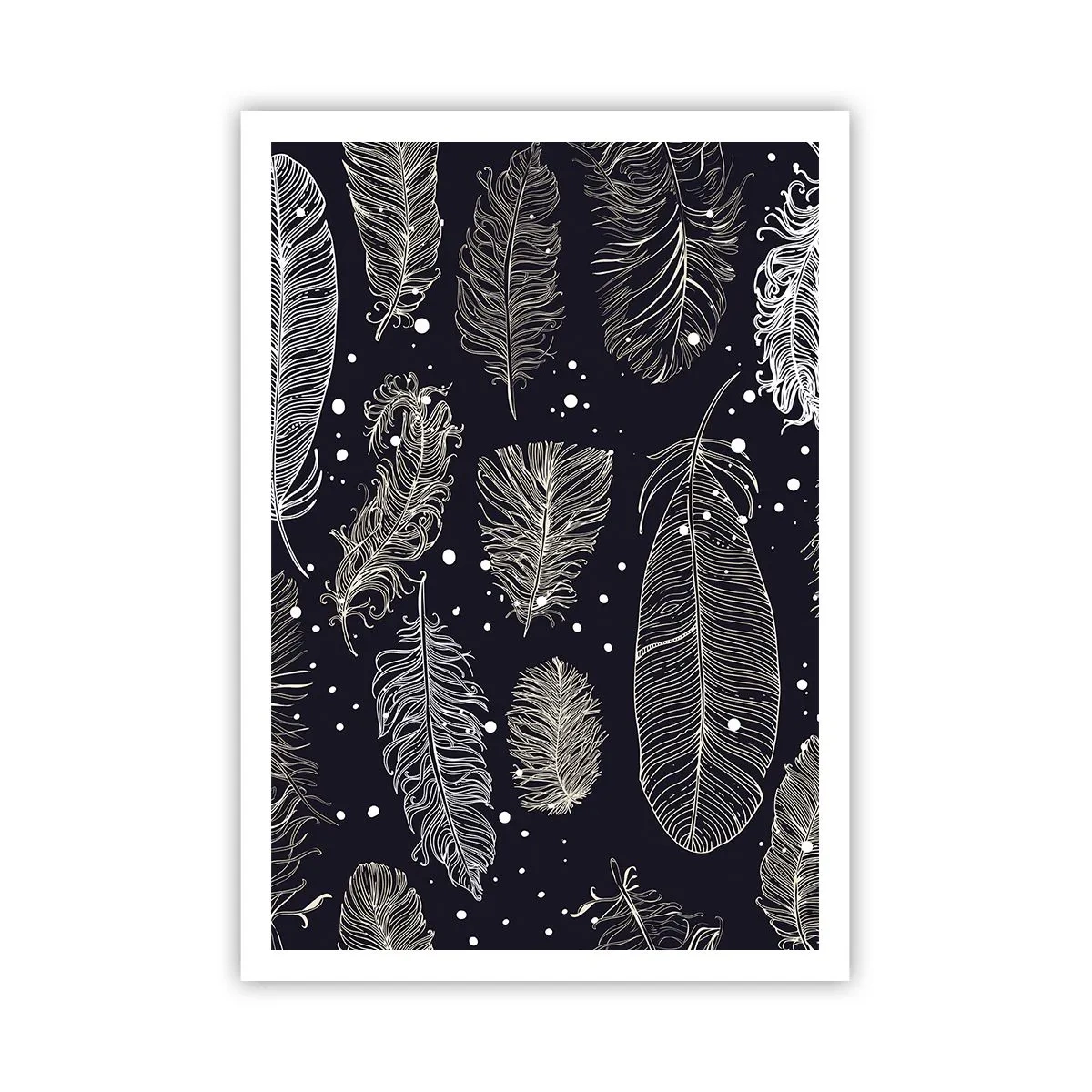 Pôster - Rendas de penas - 70x100 cm