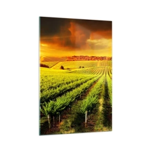 Quadro em vidro - Sob o sol australiano - 70x100 cm