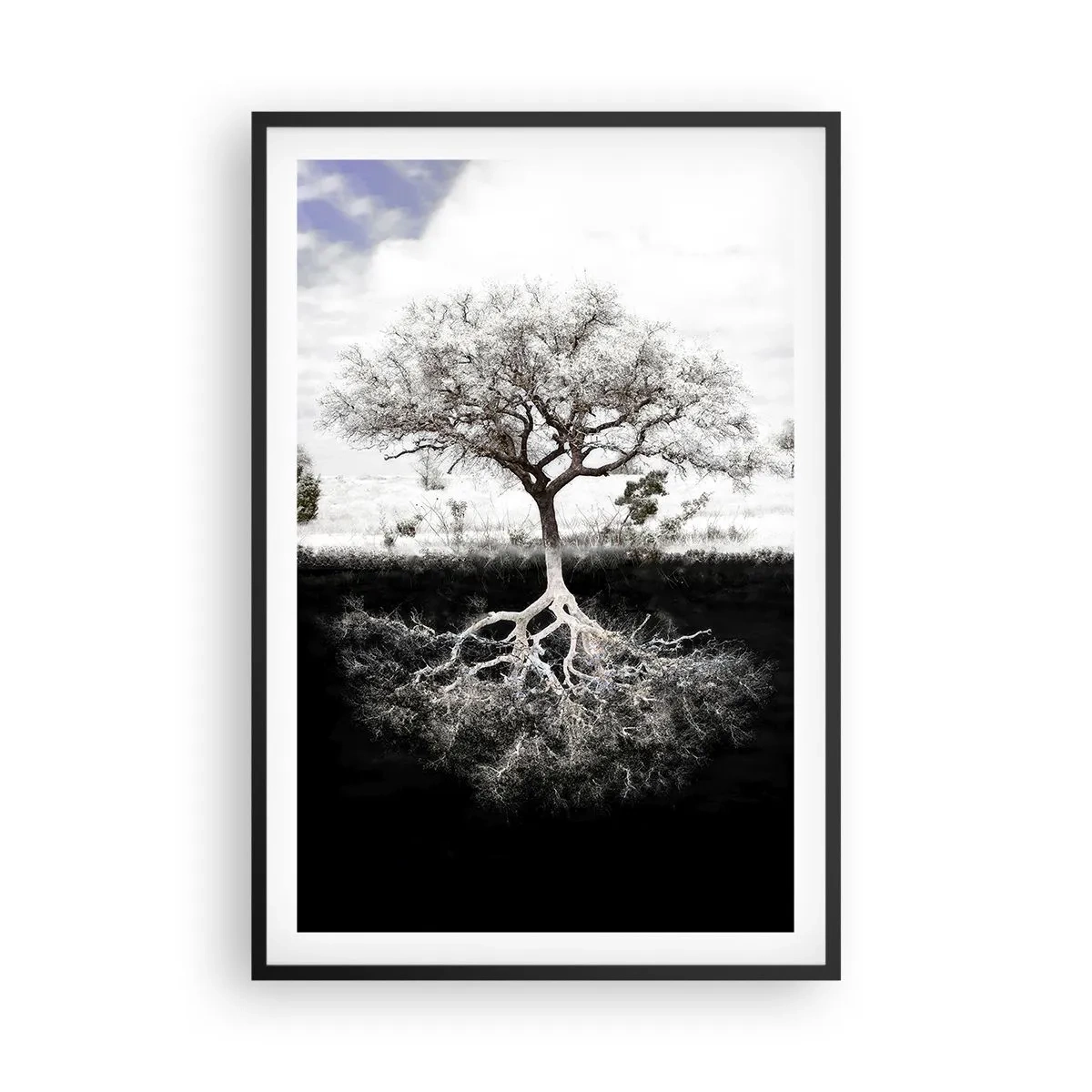 Pôster com moldura preta - Descobrir a natureza do mundo - 61x91 cm