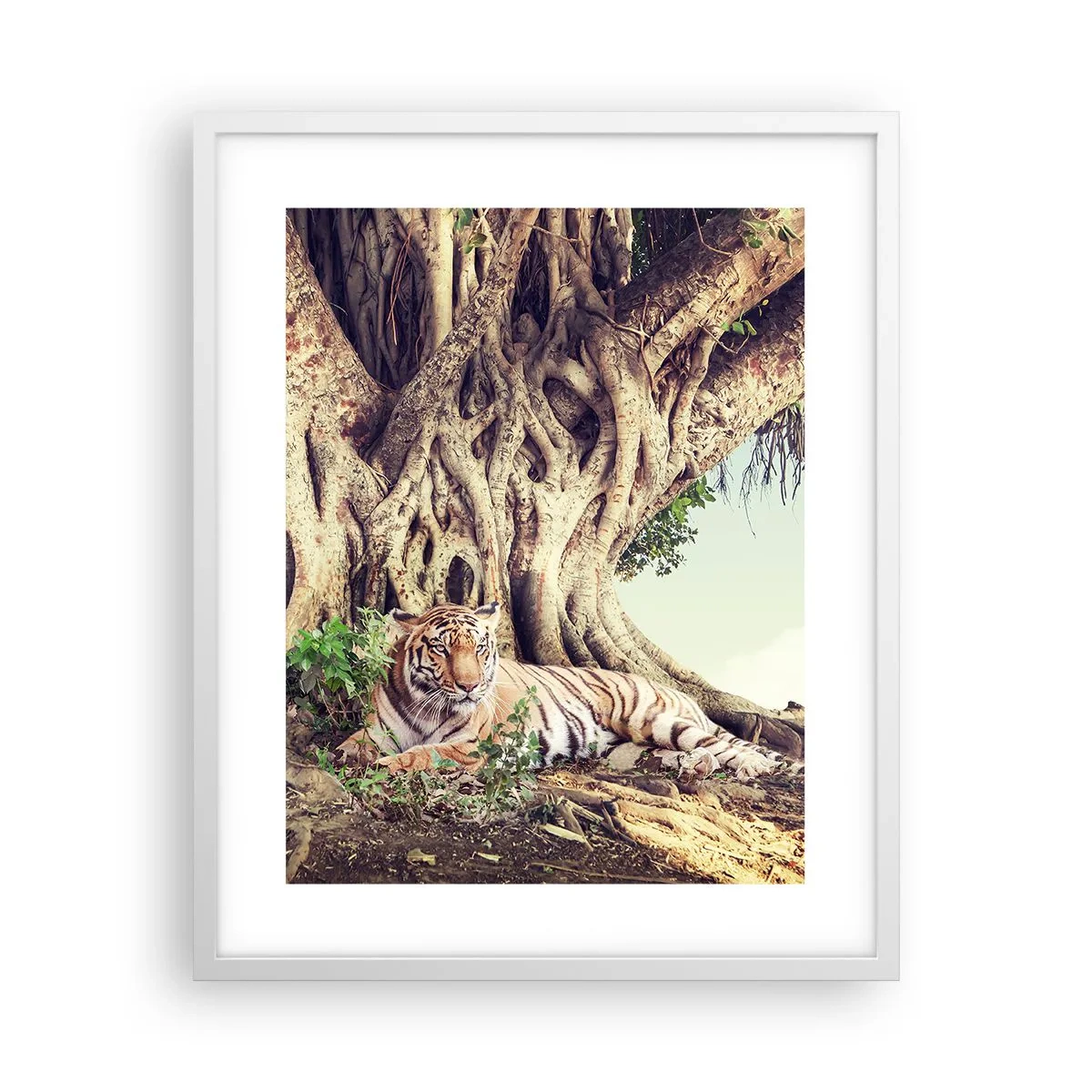 Pôster em moldura branca - Vista do livro de Gênesis - 40x50 cm