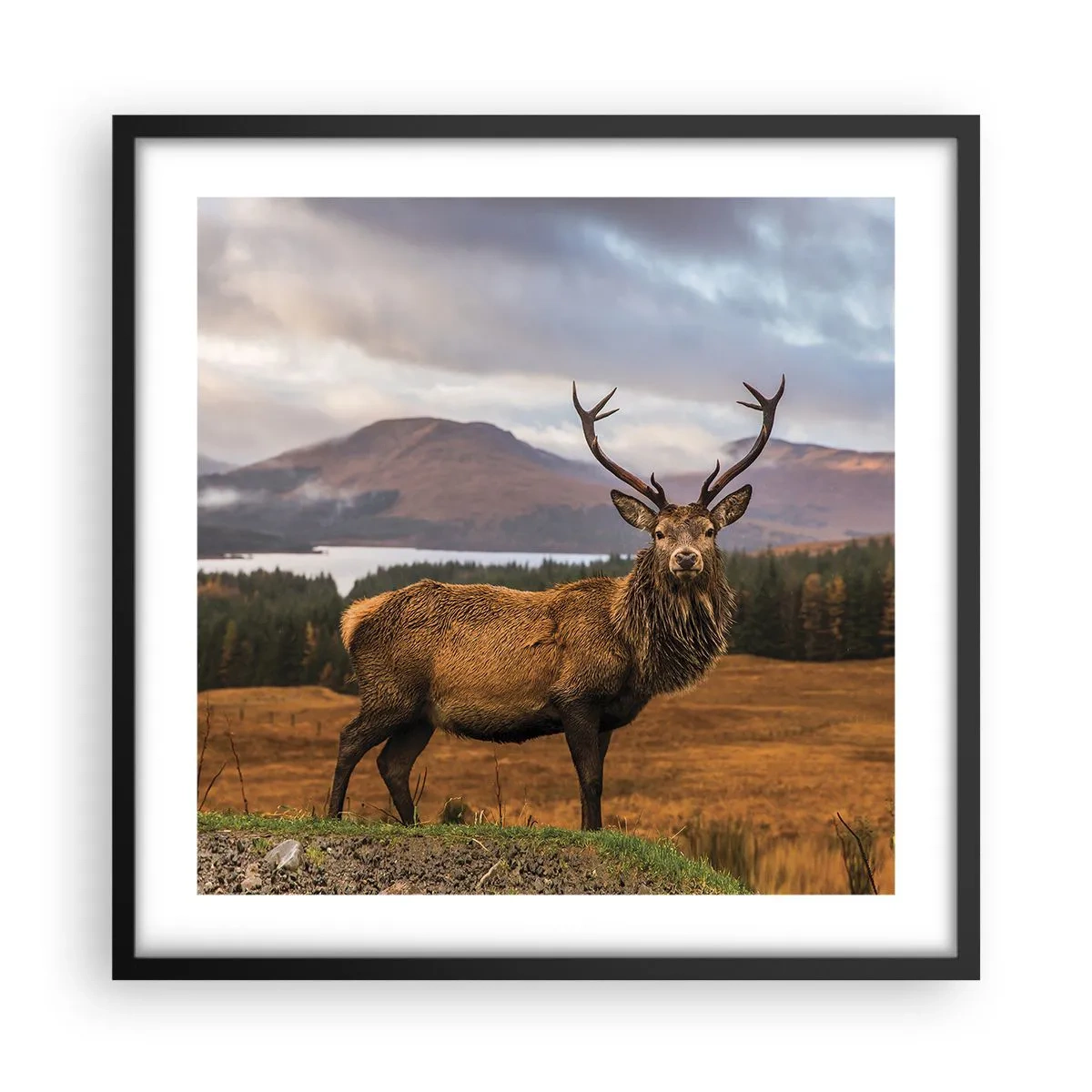 Pôster com moldura preta - A majestade da natureza - 50x50 cm