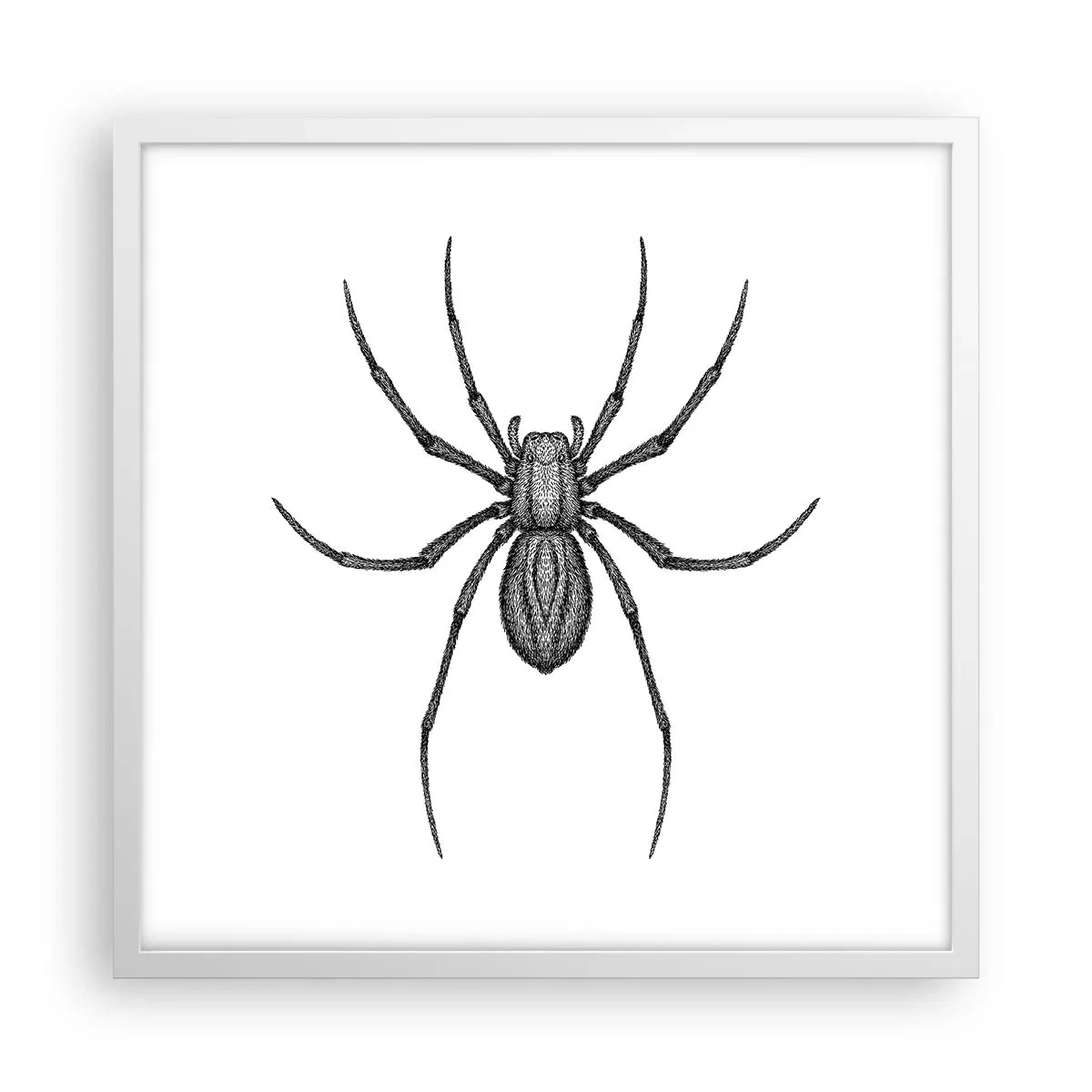 Pôster em moldura branca - Precisão perturbadora - 50x50 cm