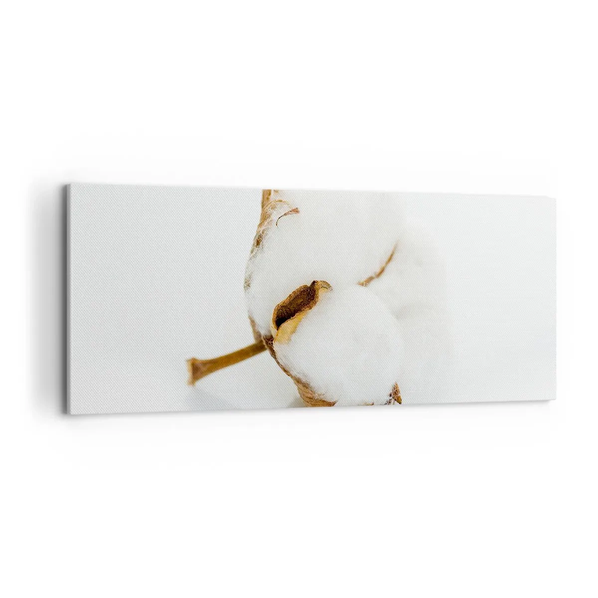 Quadro em tela - Suave por natureza - 120x50 cm