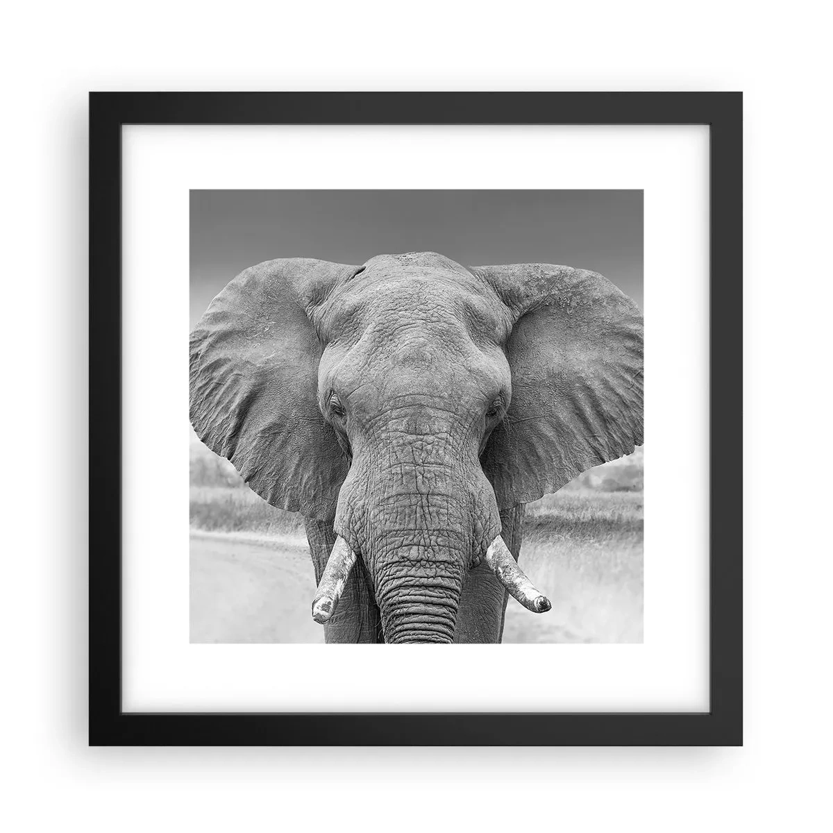 Pôster com moldura preta - Bem-vindo ao meu mundo - 30x30 cm