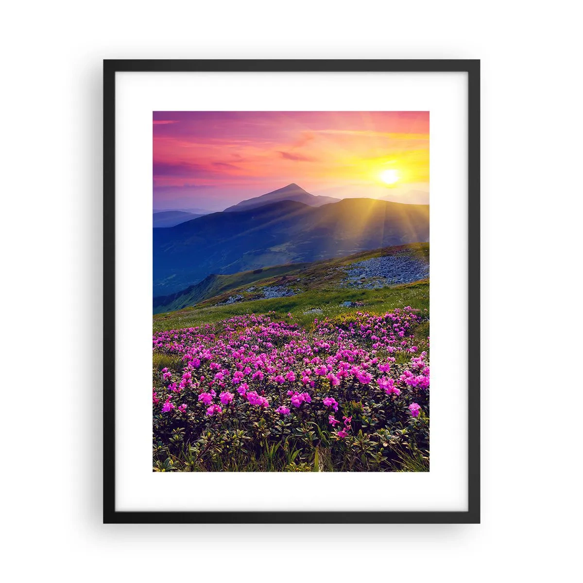 Pôster com moldura preta - …Cheiro de pinheiros e ervas da montanha - 40x50 cm