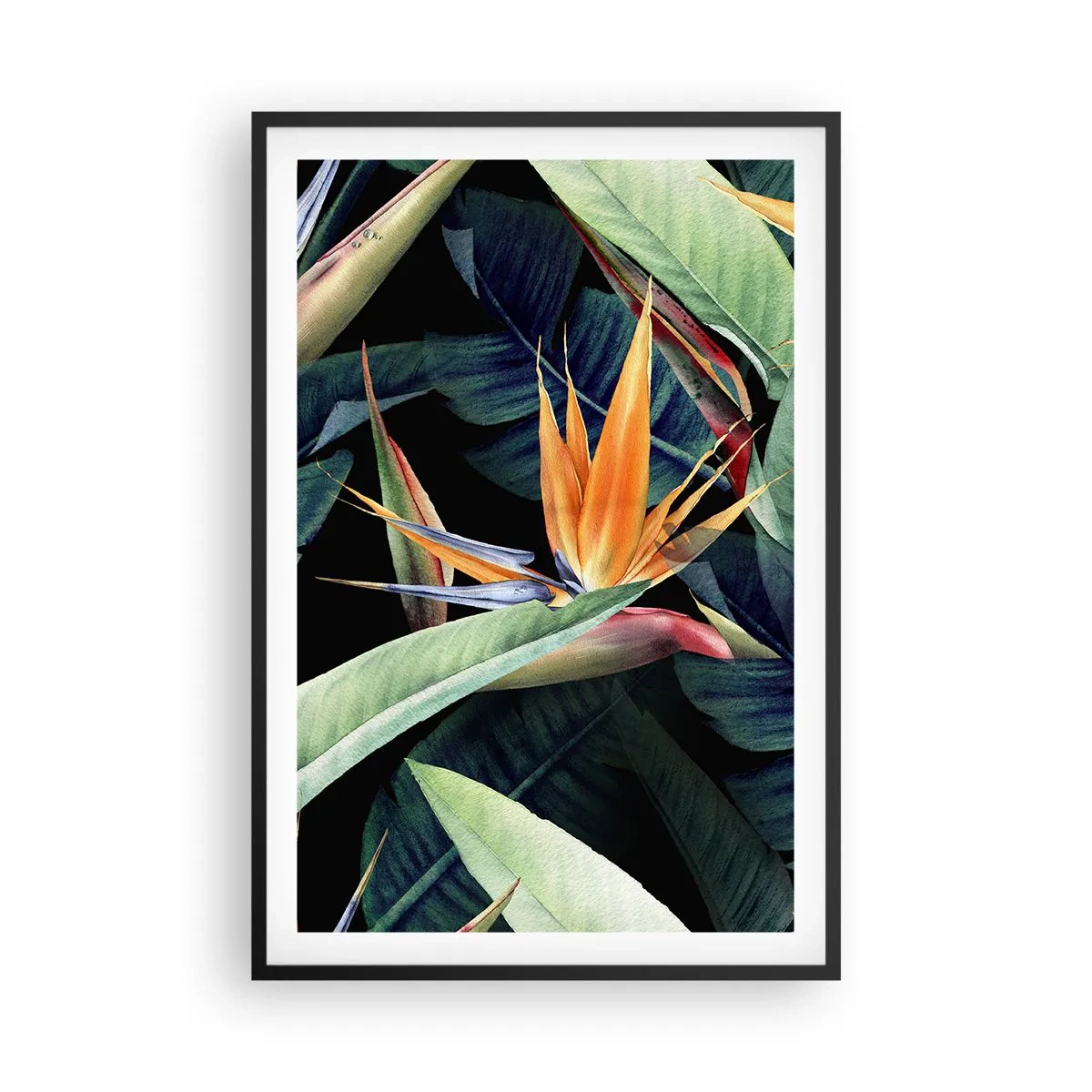 Pôster com moldura preta - Flores ardentes dos trópicos - 61x91 cm