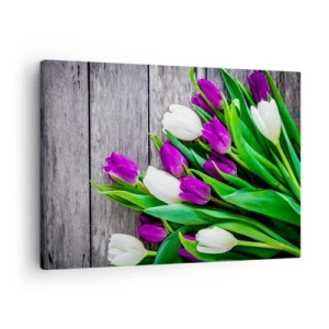 Quadro em tela - Um buquê de tulipas roxas e brancas em um fundo de madeira - 70x50cm - No dia do feriado da primavera - Decoração de parede moderna para a sala de estar e quarto ARTTOR