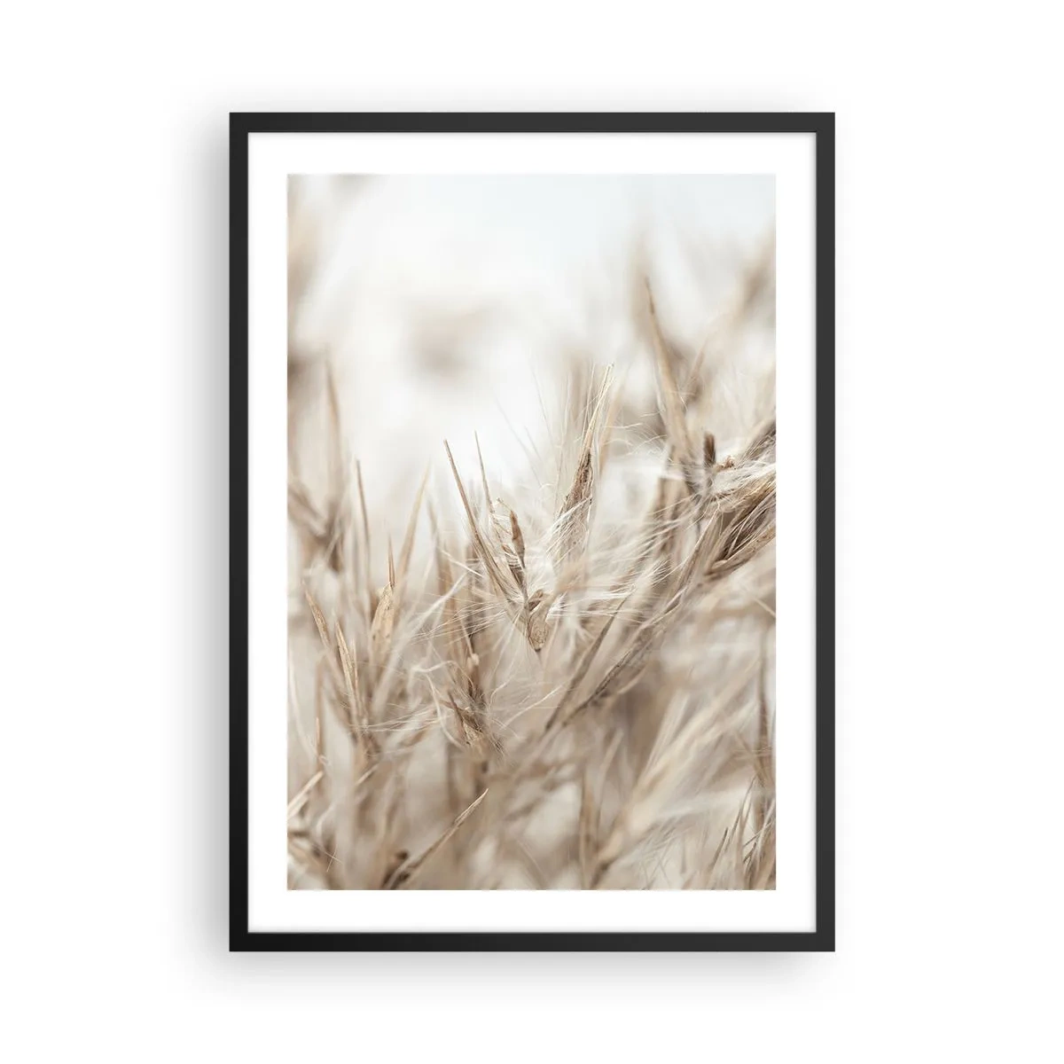 Pôster com moldura preta - Delicadas pontas de grama em bege - 50x70cm - Prado e vento - Decoração de parede moderna para a sala de estar e quarto ARTTOR