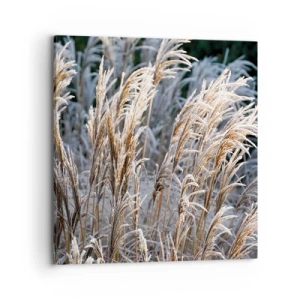 Quadro em tela - Decorado com a geada - 70x70 cm