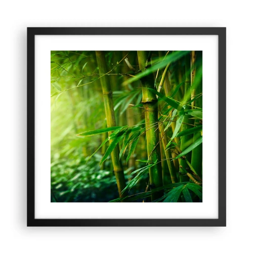 Pôster com moldura preta - Conheça a vegetação - 40x40 cm