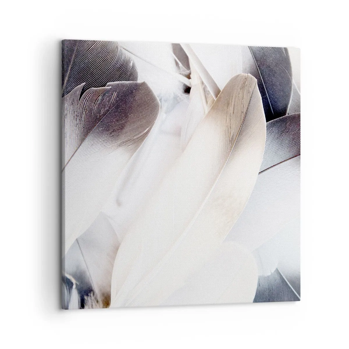 Quadro em tela - Semi-angelical - 50x50 cm