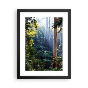 Pôster com moldura preta - Um conto de fadas da floresta - 30x40 cm