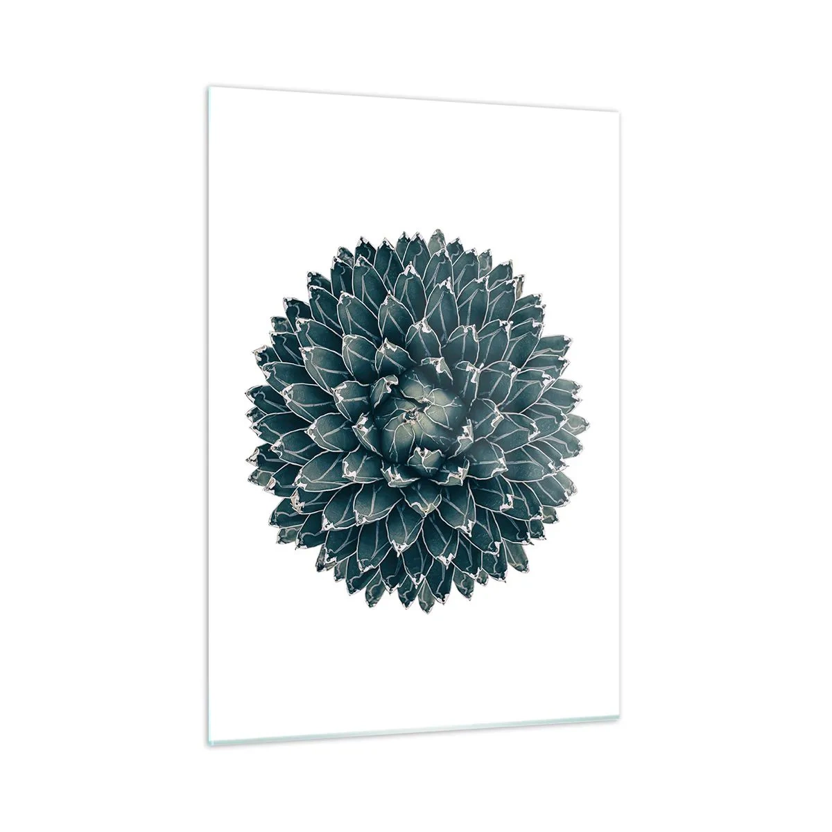 Quadro em vidro - Estrela do Deserto - 50x70 cm