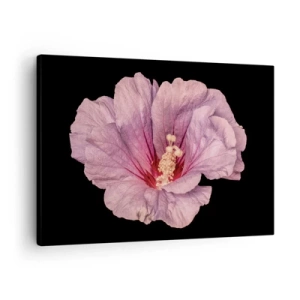 Quadro em tela - Flor rosa em fundo preto - 70x50cm - Direto para o coração - Decoração de parede moderna para a sala de estar e quarto ARTTOR