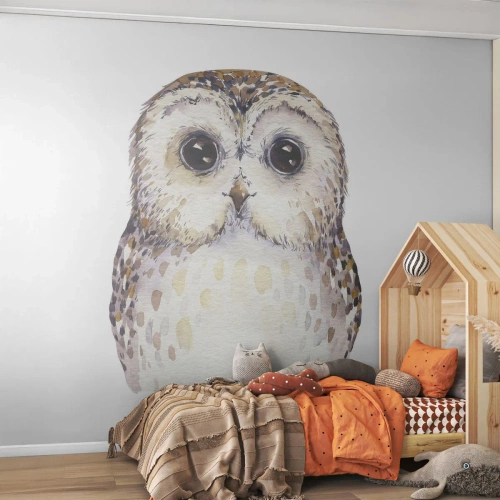 Papel de Parede Standard Eco - Olhe-me nos olhos - Coruja, Pássaro, Gráficos - 350x256 cm