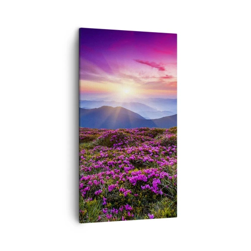 Quadro em tela - Campo cheiroso - 45x80 cm