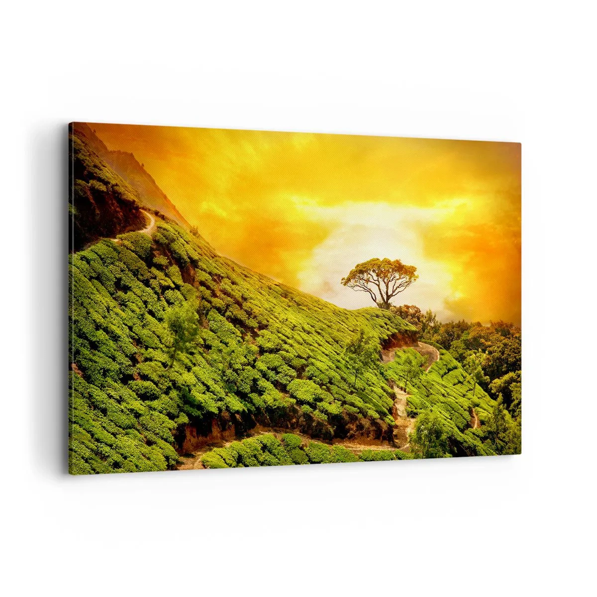 Quadro em tela - Um caminho sinuoso, uma encosta verde - 120x80 cm