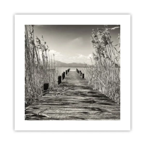 Pôster - No silêncio da relva - 40x40 cm