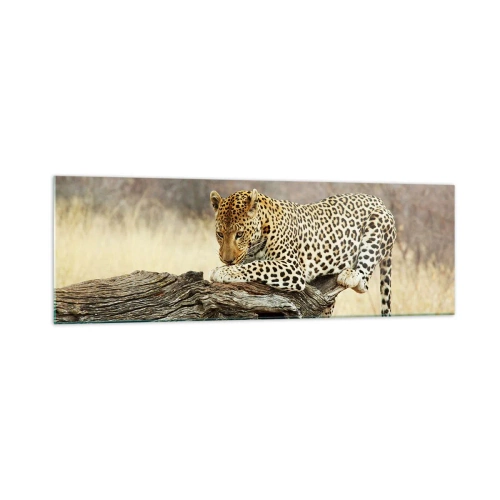 Quadro em vidro - Eu sigo o meu próprio caminho - 160x50 cm