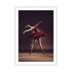 Pôster - Prima ballerina - 50x70 cm