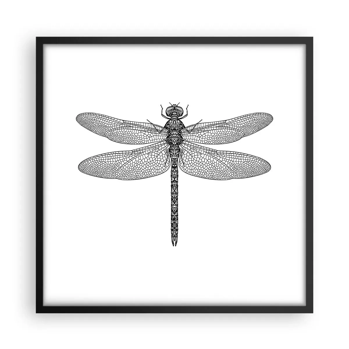 Pôster com moldura preta - Precisão da natureza - 50x50 cm