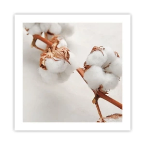 Pôster - Apenas acaricie - 50x50 cm