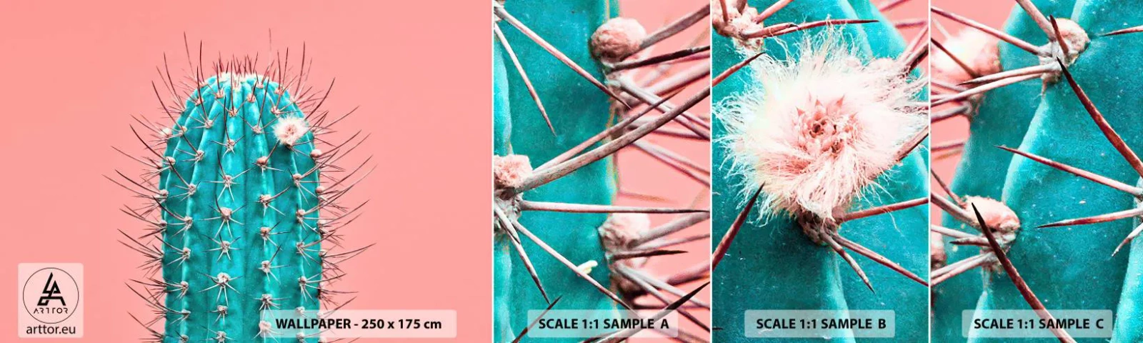 Amostra de Papel de Parede Standard Eco - Apenas olhe - Cacto, Pastel, Minimalismo - 100x30 cm