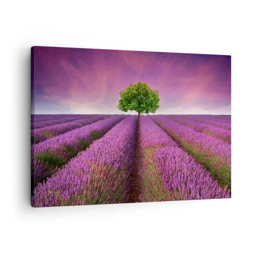 Quadro em tela - Um campo de lavanda com uma árvore solitária e um céu roxo - 70x50cm - Nos campos de lavanda - Decoração de parede moderna para a sala de estar e quarto ARTTOR