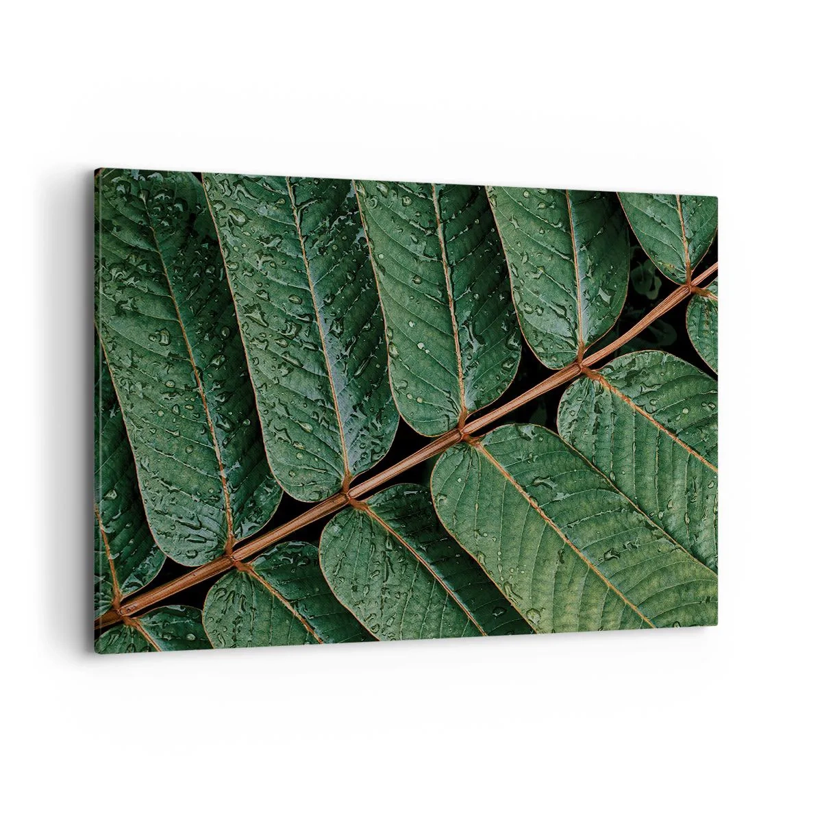 Quadro em tela - Num ritmo verde - 120x80 cm