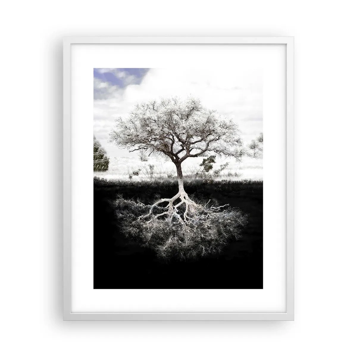 Pôster em moldura branca - Descobrir a natureza do mundo - 40x50 cm