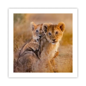 Pôster - Não perturbe! Estamos a divertir-nos - 50x50 cm