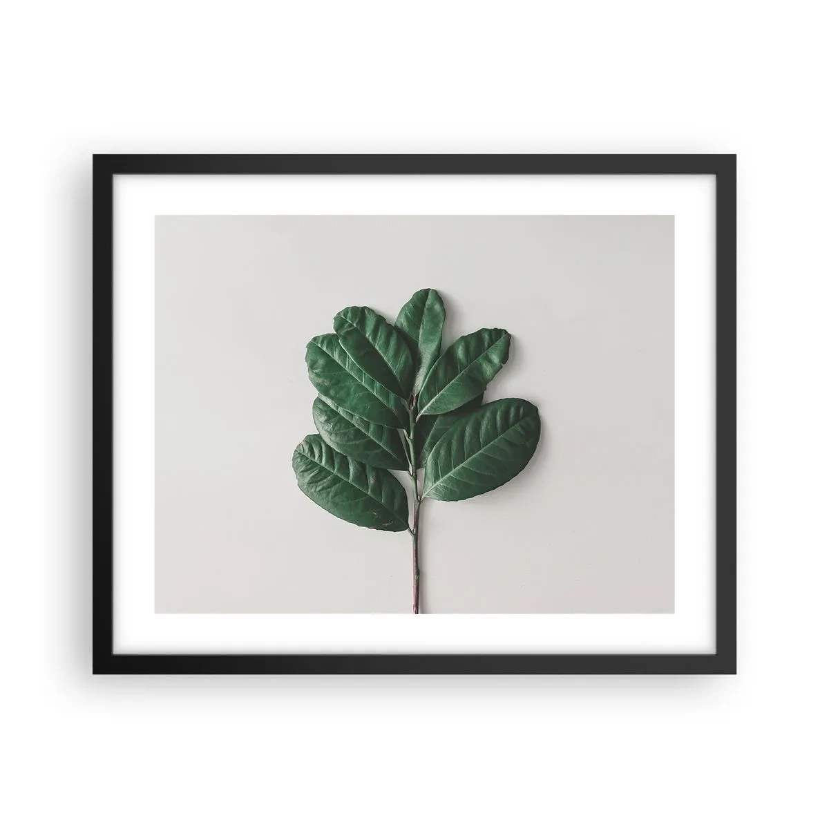 Pôster com moldura preta - Desenho da própria natureza - 50x40 cm