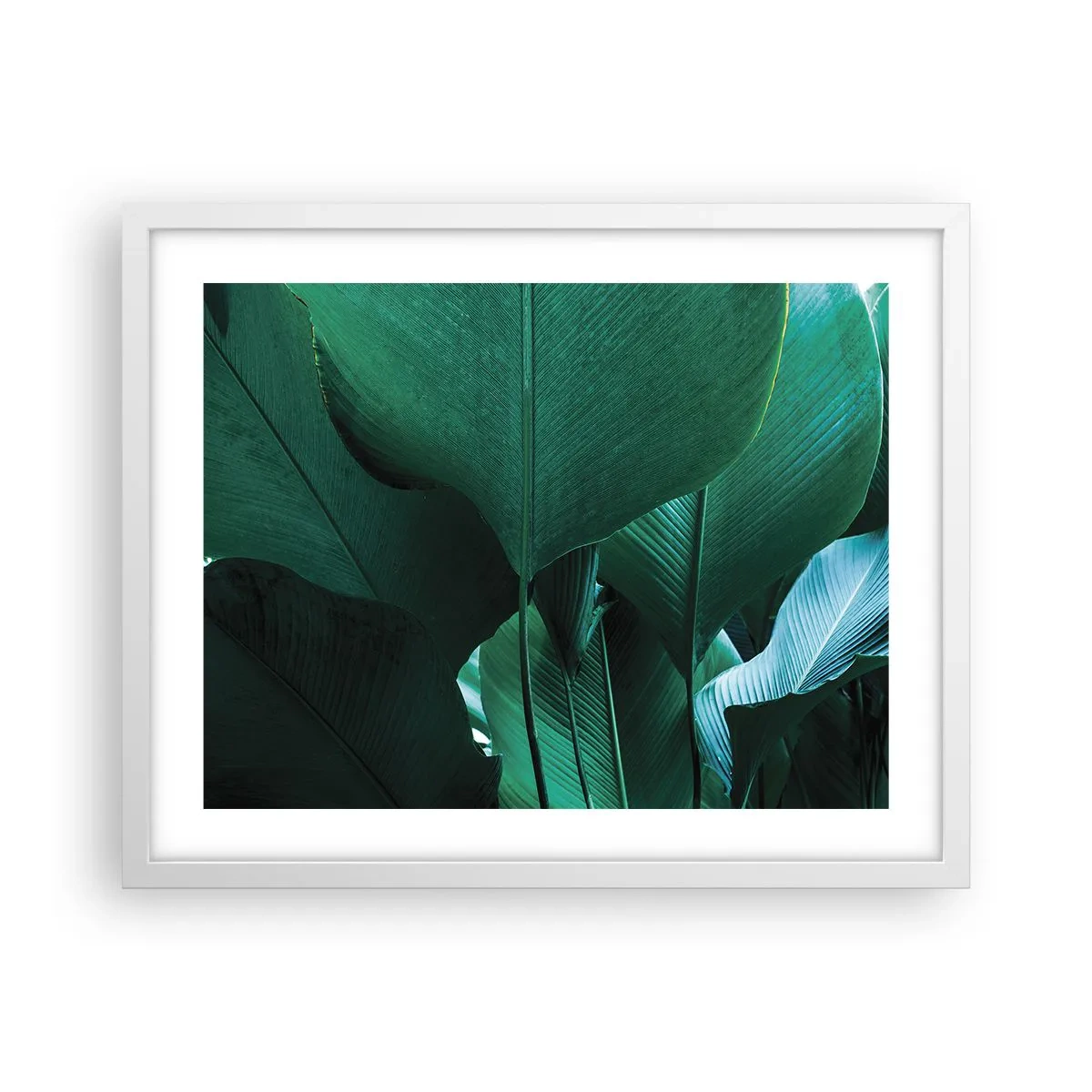 Pôster em moldura branca - De frente para a luz - 50x40 cm