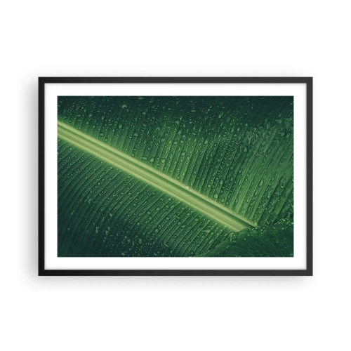 Pôster com moldura preta - A estrutura da vegetação - 70x50 cm