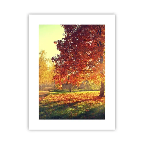 Pôster - O vermelho é lindo - 30x40 cm