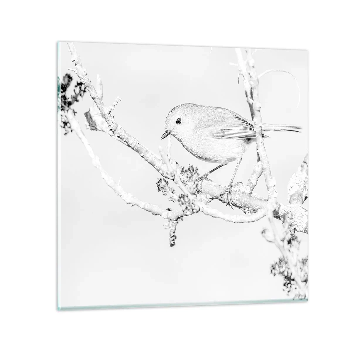 Quadro em vidro - Manhã de inverno - 40x40 cm