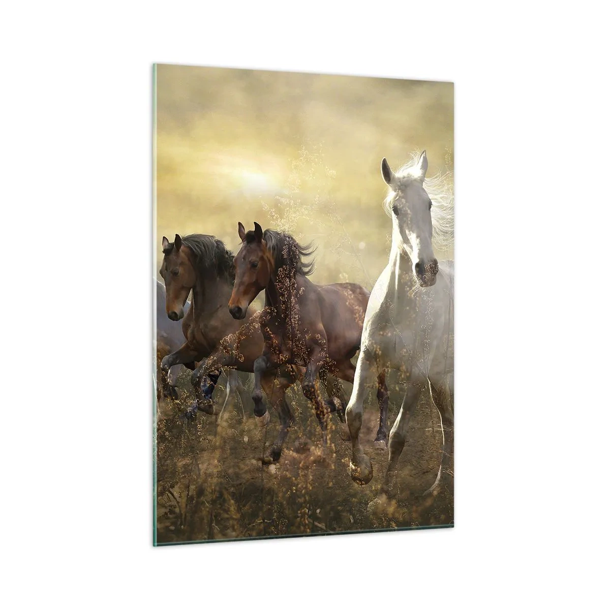Quadro em vidro - Viva a liberdade! - 50x70 cm