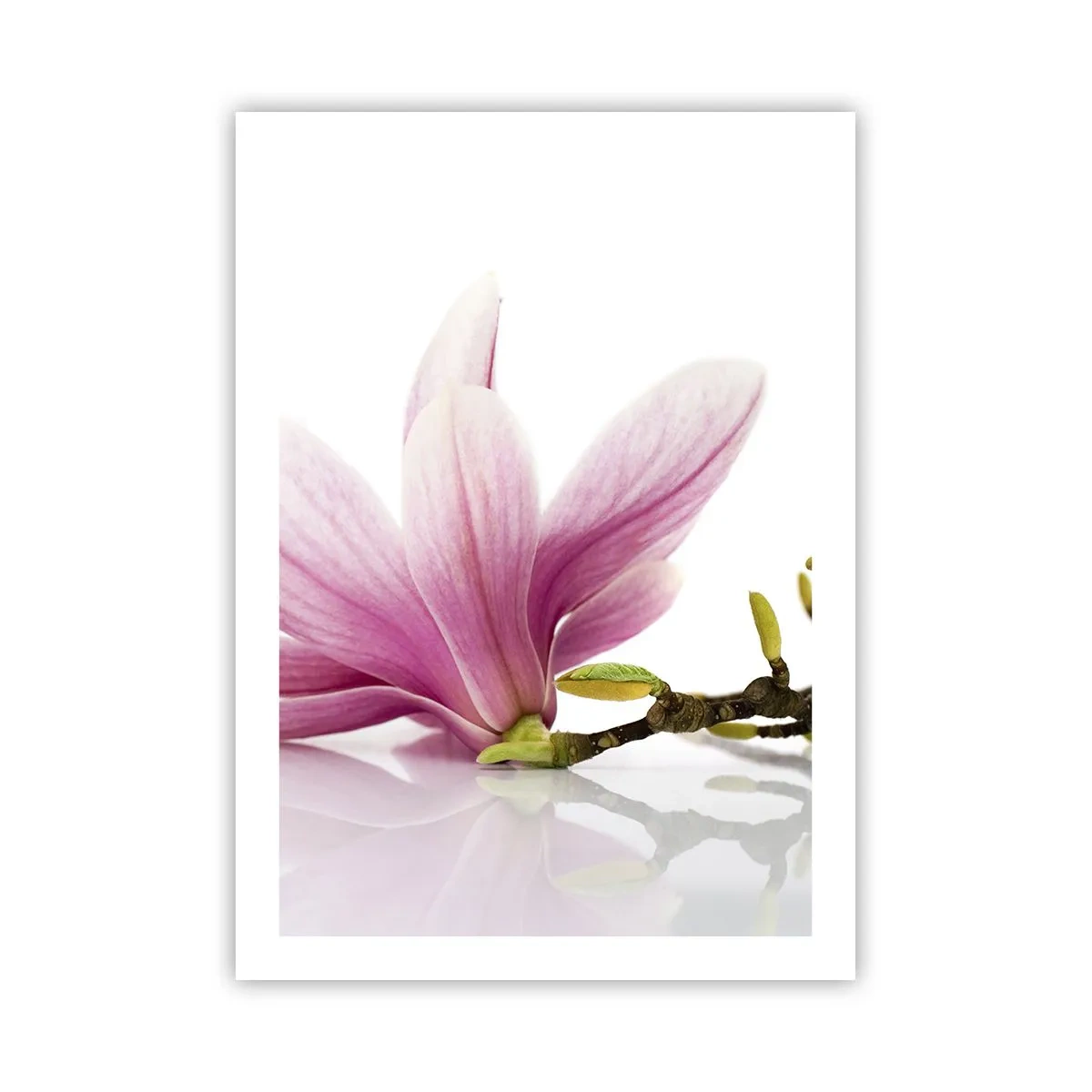 Pôster - Suave como um sopro de primavera - 50x70 cm