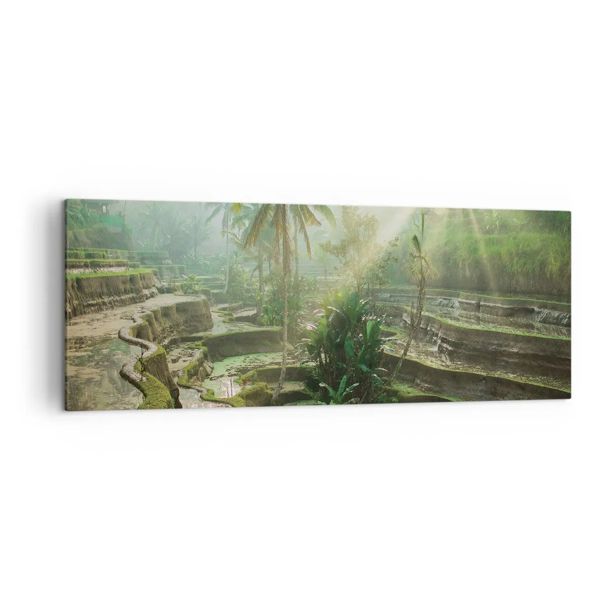 Quadro em tela - Crescer ao sol - 140x50 cm