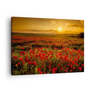 Quadro em tela - Um campo de papoulas vermelhas sob o brilho do pôr do sol - 70x50cm - Entre o farfalhar da onda de prados, entre o dilúvio das flores - Decoração de parede moderna para a sala de estar e quarto ARTTOR