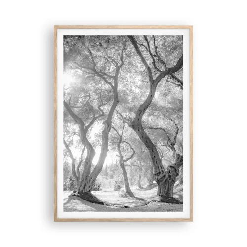 Pôster com moldura de carvalho claro - No olival - 70x100 cm