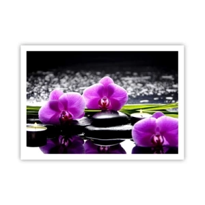 Pôster - Afogar-se na paz e sossego - 100x70 cm