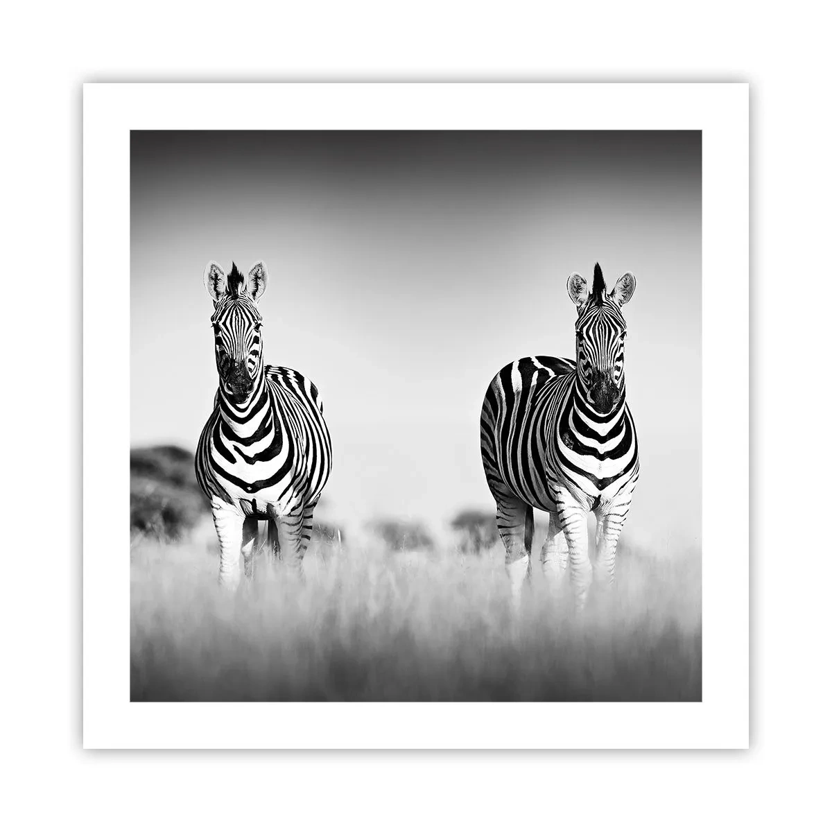 Pôster - De fato, o mundo é a preto e branco - 50x50 cm