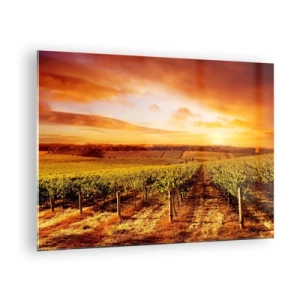Quadro em vidro - Videiras em um campo ao pôr do sol - 70x50cm - Delicadamente frutado com um toque de sol - Decoração de parede moderna para a sala de estar e quarto ARTTOR